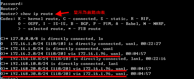 drouting_ospf_3.png