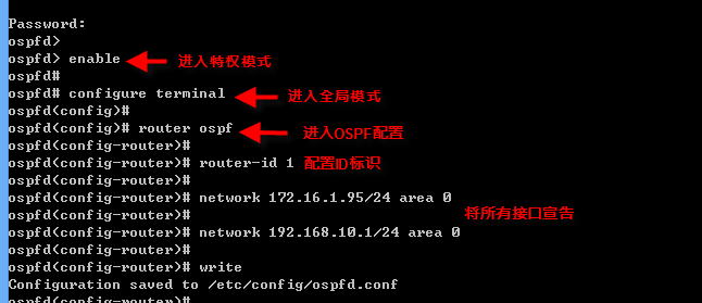 drouting_ospf_2.png